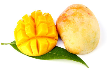 mangue