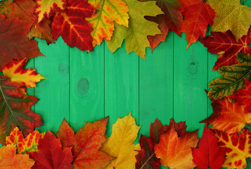 leaf of autumn