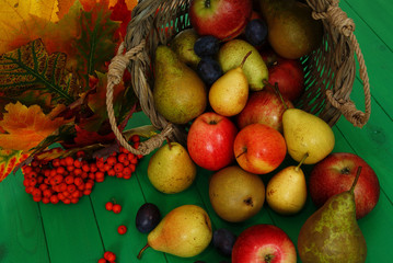basket of fruit