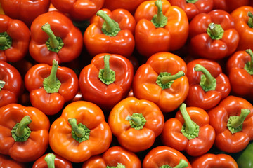 Red sweet pepper on background
