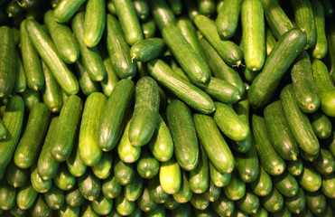 Background made from cucumbers