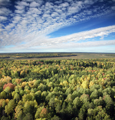 Fototapeta na wymiar flight over autumn forest