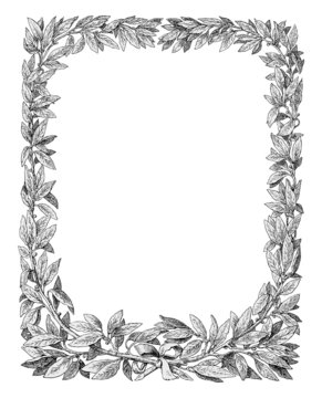 Laurel frame vector