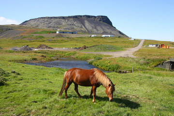 Iceland - Olafsvik on Snaefellsnes Peninsula