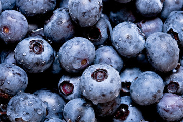 Fresh Blueberries