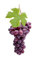 Fototapeta premium Weintrauben