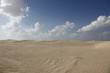 Fototapeta na wymiar wüste sahara