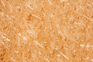 fragments of wood