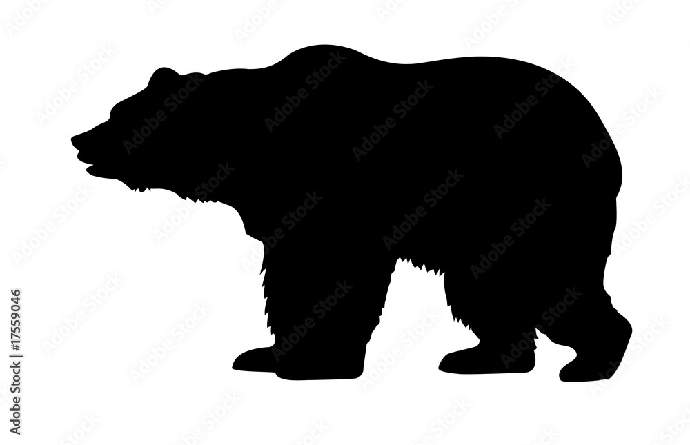 Wall mural silhouette bear isolated on white background