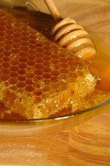 Honey comb and Drizzler