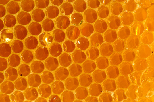 Honeycomb