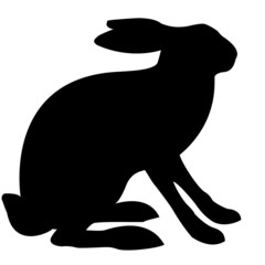 illustration hare isolated on white background - obrazy, fototapety, plakaty