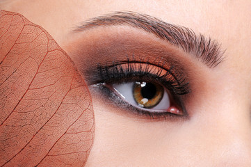 Fashion glamour brown eye make-up