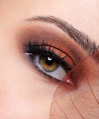 woman eye with a brown fashion make-up