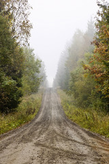 Alley in morning fog