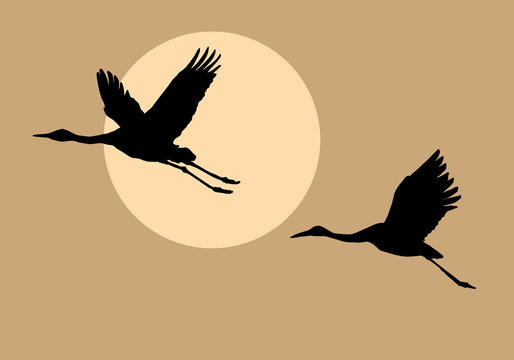 silhouettes flying cranes on background sun