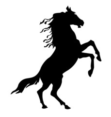 Fototapeta na wymiar silhouette horse on white background