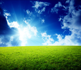 field of grass and sunset