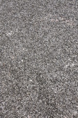Sunflower seeds
