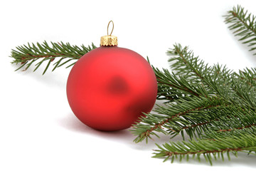 Red christmas ball with the twig of the spruce