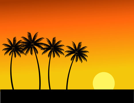 Tree silhouette and sunset in tropical island