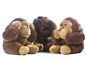Fototapeta na wymiar Trzy małpy