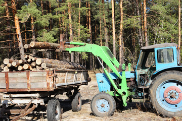 Loading logs of trees in the forest