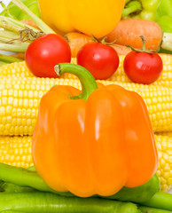 Various colourful vegetables arranges at the market