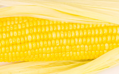 Extreme close up of yellow corn cobs
