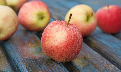 wet red apples on a garden table, after rain