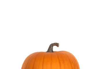 Pumpkin Top