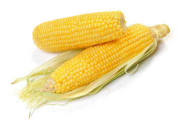 corn cob