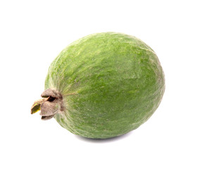 Feijoa