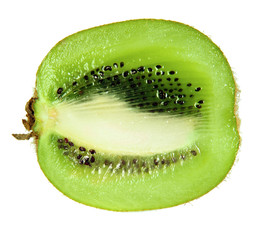 kiwi fruit