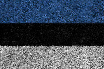 Fototapeta premium Flag grass EE