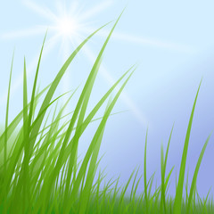 gras-wiese-himmel-sonne