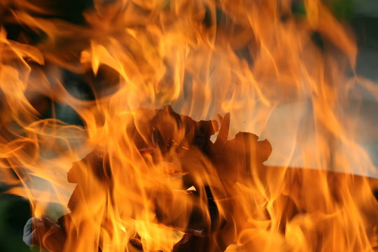 feu