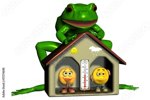 wetterfrosch desktop