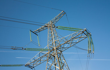 Taste of electricity