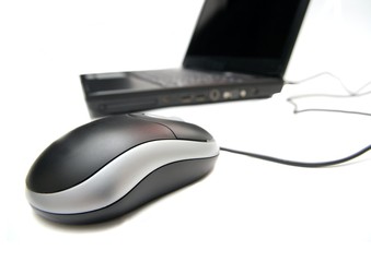 Mouse