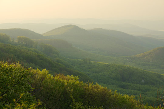 Landscape