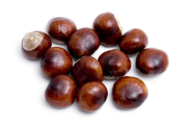 Horse chestnut, buck-eye (Aesculus hippocastanum), fruit, isolat