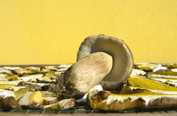 Funghi porcini essicati al sole 7