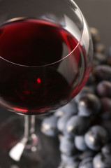 Red wine and grape