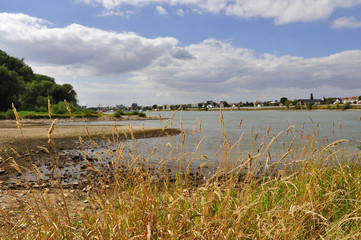 Fototapeta premium rheinaue