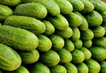 heap of green cucumbers