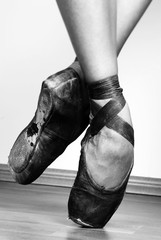 Ballet Shoes - 17583443