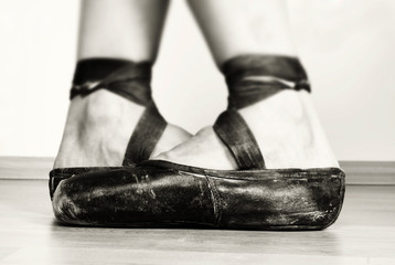 Ballet Shoes © cleomiu