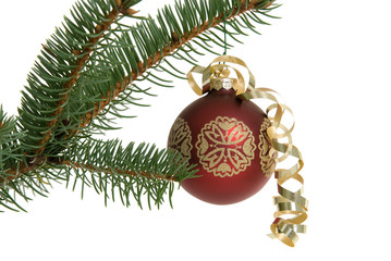 Red Christmas ornament on tree