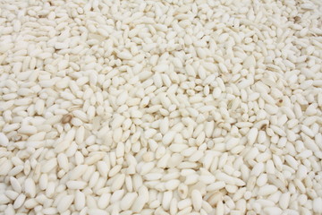 Glutinous rice / 糯稻